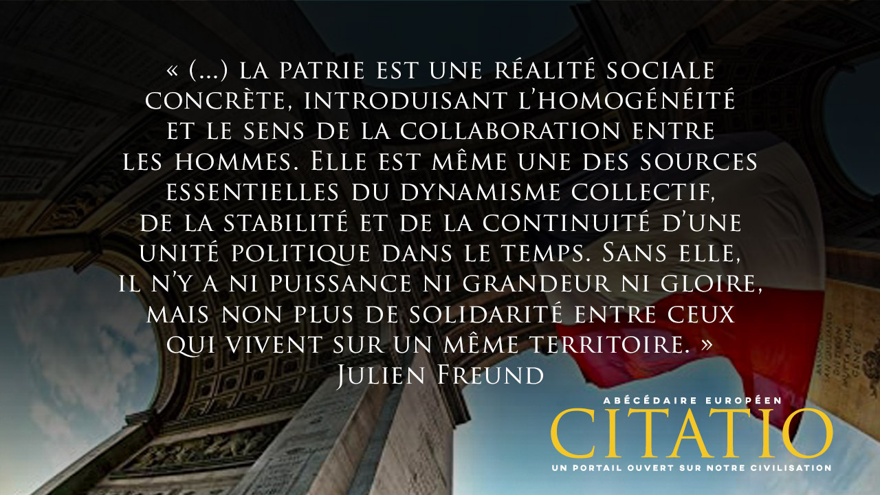 On A Beau Ironiser Sur Le Concept De Patrie Citation De Julien Freund